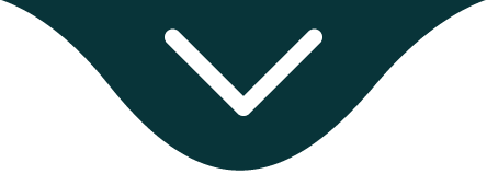 divisor 1
